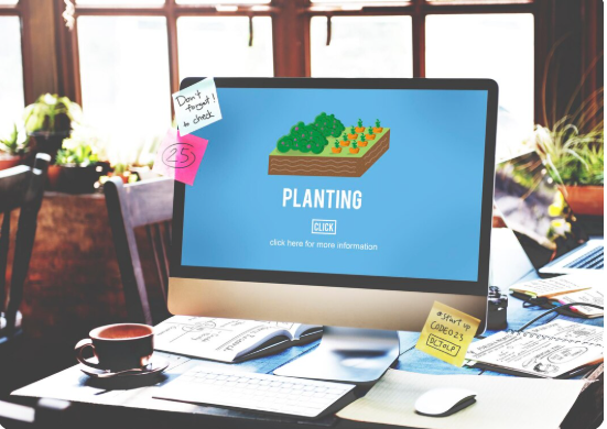 White Hat SEO Services for Sustainable Website Growth